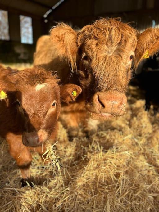 Вилла Highland Rural Farm Retreat,Loch Ness, Nc500, Beauly Инвернесс Экстерьер фото